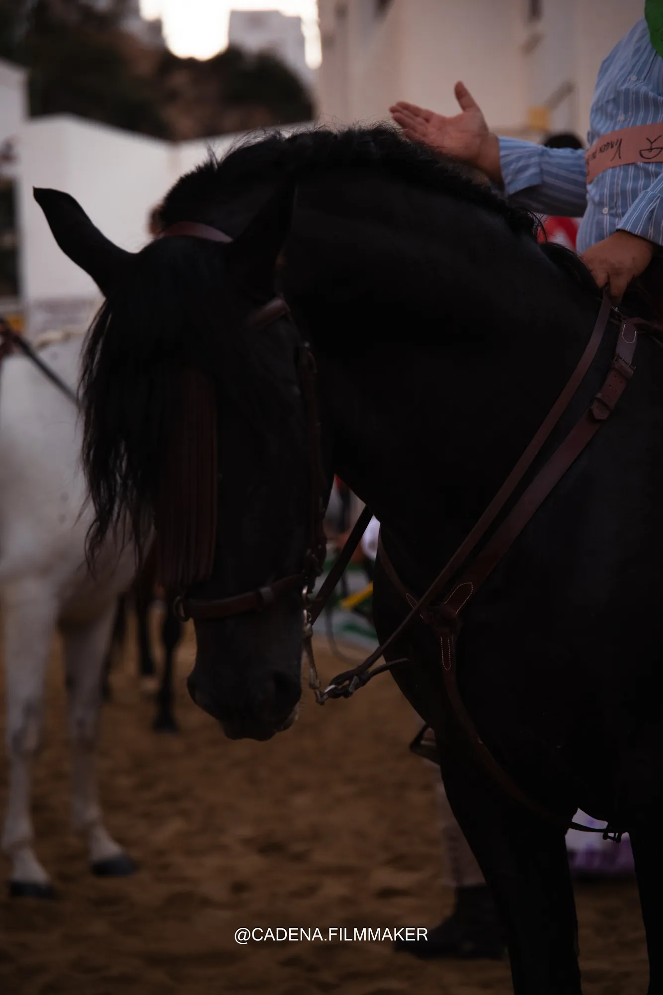 Carrera de Cintas · Mojácar